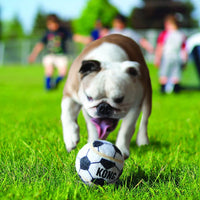 Kong Pelotas Sport Medianas
